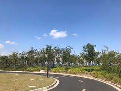 -春花秋色城市公园