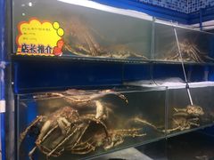 -蚝专家(北滘店)