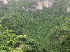 -鹿院坪生态旅游景区