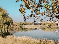 -长广溪湿地公园