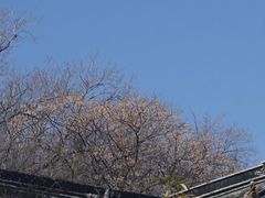 -无锡梅园公园