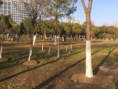 -天鹅湖体育公园