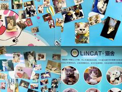-lincat·猫舍(广州店)