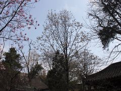 -武侯墓风景区