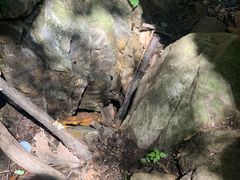 -九龙潭景区