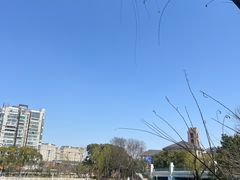 -新江湾城公园