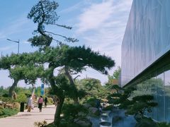 -罗红摄影艺术馆