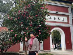 -南岳衡山风景名胜区-南岳大庙