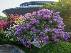 -杭州城北体育公园