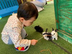 -萌宠亲子动物乐园(槐房万达店)