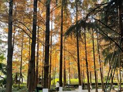 -苏州河梦清园环保主题公园