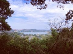 -上海佘山国家森林公园西佘山园