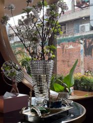 -花隐·美芙炫海菲秀皮肤管理中心