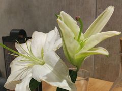 -四季餐厅·新津菜(环湖中路店)