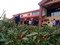 -意大利农场度假村