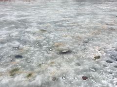 -和园景逸大酒店朗月汤泉
