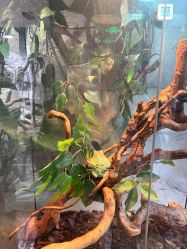 -Zoolung Zoolung动物主题公园(海信广场店)