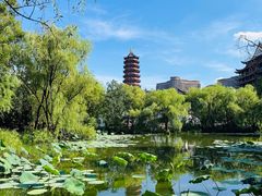 -长兴太湖图影湿地文化园