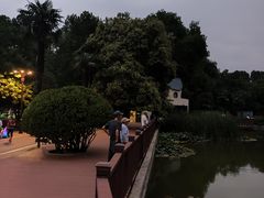 -洛阳市牡丹公园