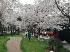 -堤角公园