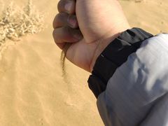 -亿利库布其七星湖沙漠生态旅游区