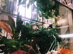 -义顺牛奶公司(新马路老店)