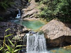 -广州白江湖森林公园