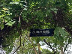 -古隆中景区