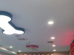 -天使宠物医院·犬猫分诊(彩虹店)