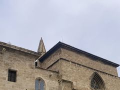 -瓦伦西亚大教堂