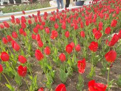 -长春公园(普阳街道)