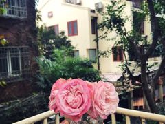 -Ginger(兴国路店)