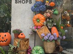 -Money Shops(愚园路店)