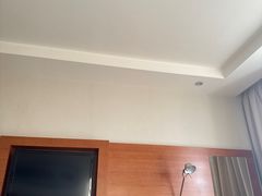 -上海浦东康桥绿地假日酒店