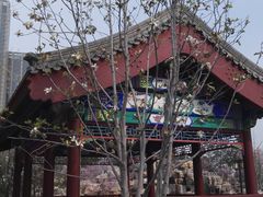-西海子公园