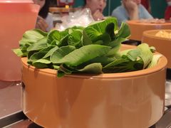 -龍歌自助小火锅(市北CBD万达店)