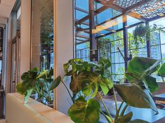 -洋洋中餐馆·SINCE 1997(信投店)