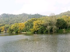 情人谷-厦门大学(思明校区)