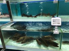 -盒马鲜生(财富中心店)