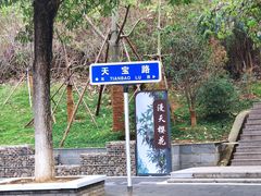 -龙江公园