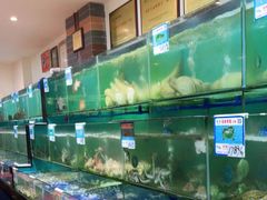 水产区-南海渔家•海鲜•正宗海南菜(海棠湾店)