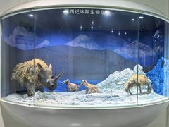 -中国第四纪冰川遗迹陈列馆
