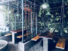 -Rainforest