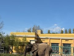 -哈尔滨北方森林动物园