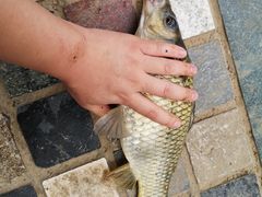 -酷鱼垂钓CLUB(朝阳区博大路店 )