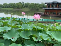 -湘湖大院(越王路店)