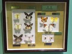 -上海昆虫博物馆