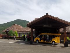 -三亚亚龙湾人间天堂鸟巢度假村