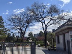 -西海子公园
