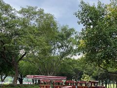 -南宁花花大世界景区